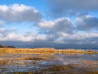 Überschwemmtes Chiemseeufer beim Heinrichwinkel im Sonnenschein